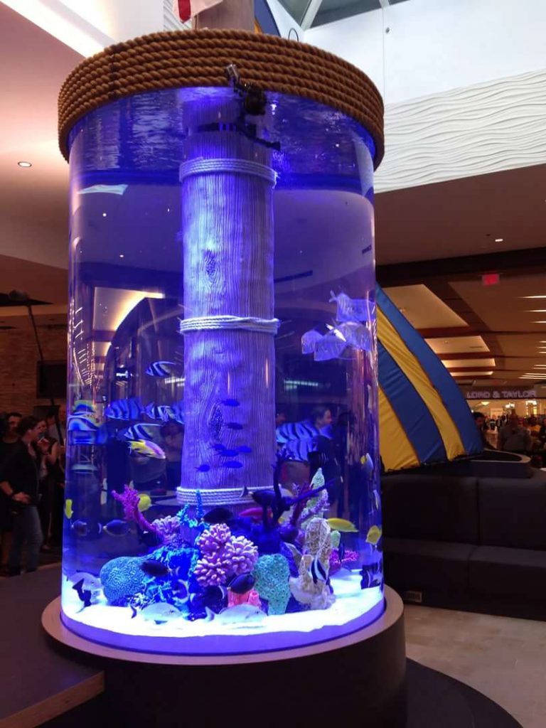 высокий Цилиндрический аквариум