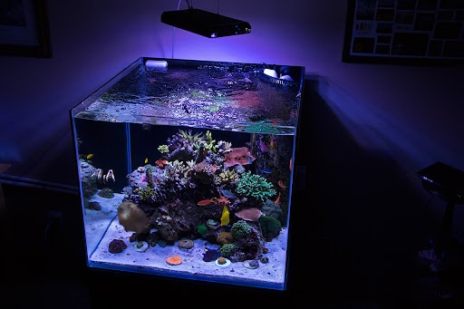 квадратный аквариум