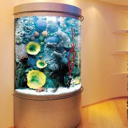 полуцилиндрический аквариум