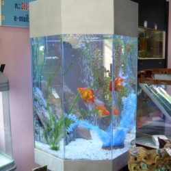 многогранный аквариум